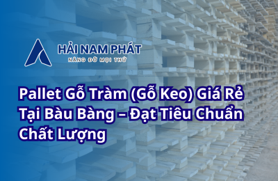 Pallet Gỗ Tràm (Gỗ Keo) Giá Rẻ Tại Bàu Bàng – Đạt Tiêu Chuẩn Chất Lượng