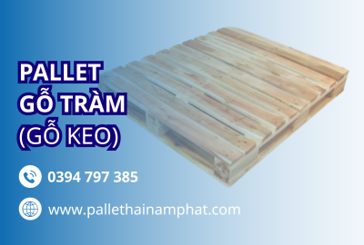 Pallet Gỗ Tràm (gỗ keo): Lựa Chọn Bền Bỉ Cho Doanh Nghiệp Logistic