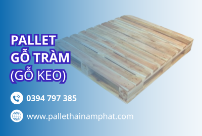 Pallet kê hàng nặng – pallet dùng trong kho lạnh